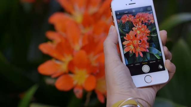 All You Need To Know About Iphone Se - In Depth Review 1 Camera Clarity