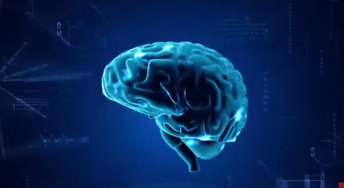 Brain to Brain Communication