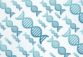 An illustration of DNA