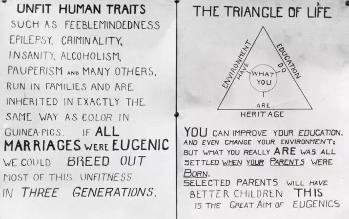 Is The World Ready For Sociogenomics? 1 Eugenics