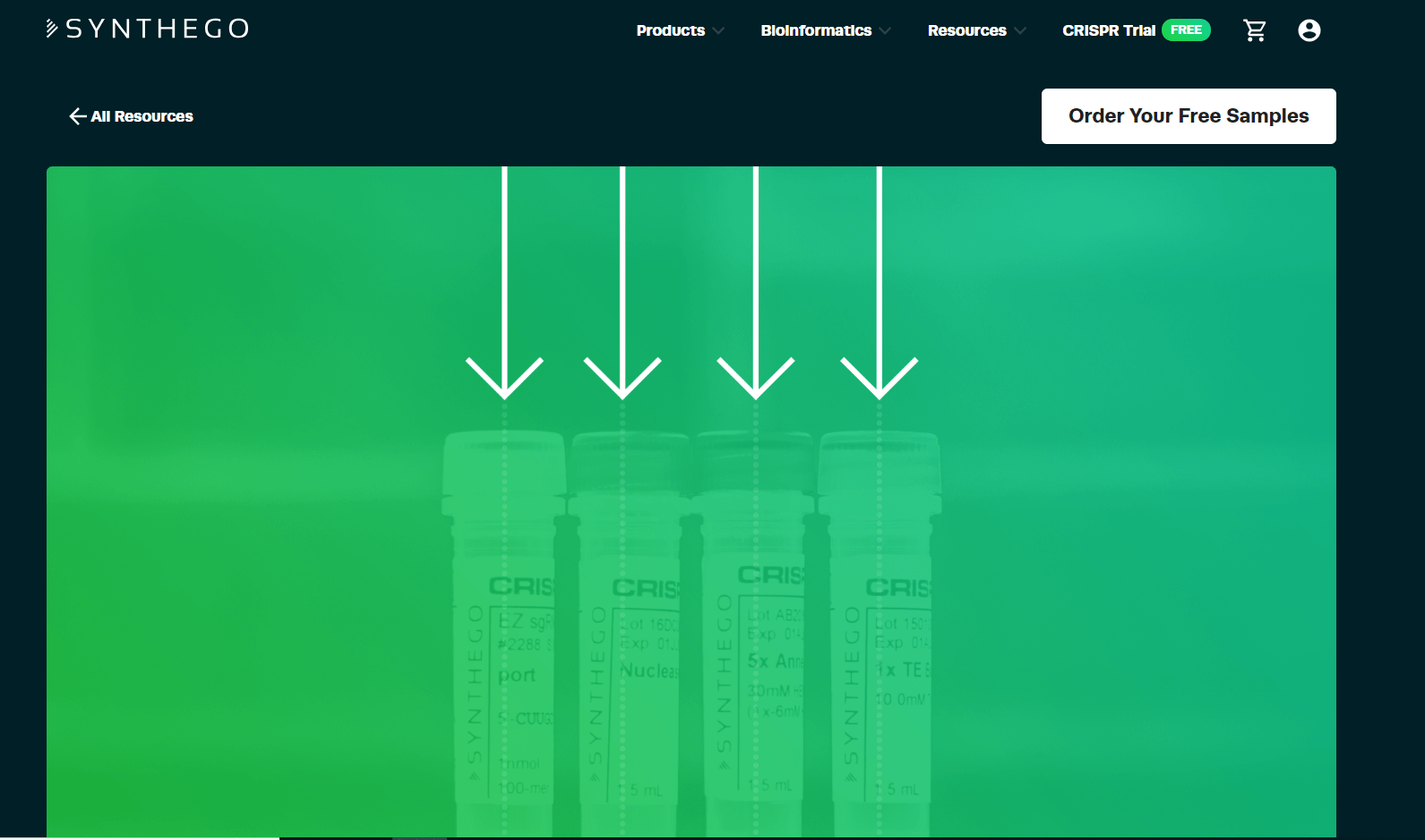 Gene Editing Tools Will Be Widely Available Thanks To $110 Million Investment Given To Synthego