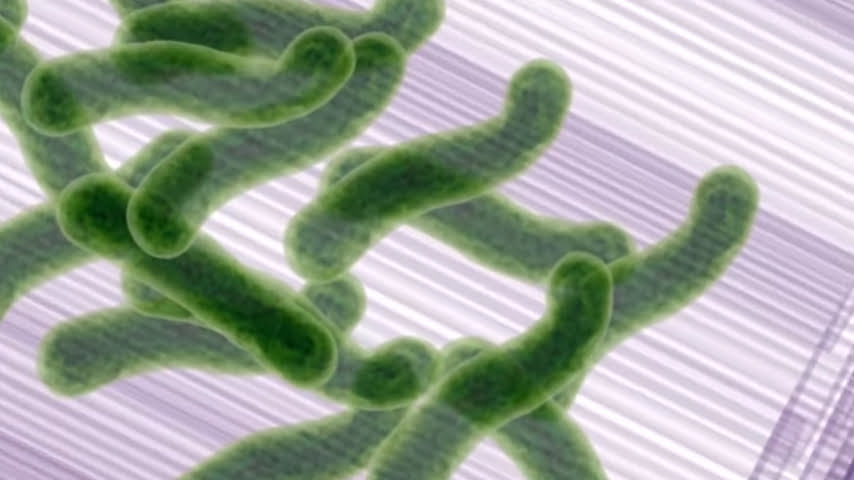 Killing Viruses (Covid19) With Uv (Ultraviolet) Light 4 Bacteria