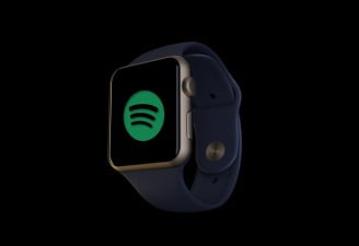 spotify on apple watch