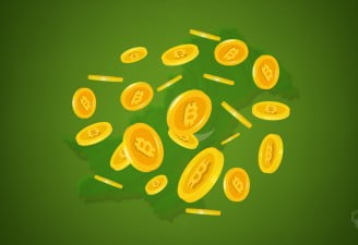 illustration with Bitcoins and Pakistan Map representing Bitcoin in Pakistan