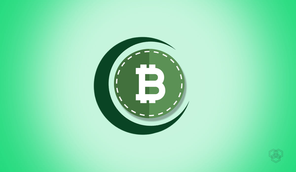 Tracing The History Of Bitcoin In Pakistan; Its Regulation And Future 3 Halal Bitcoin Illustration