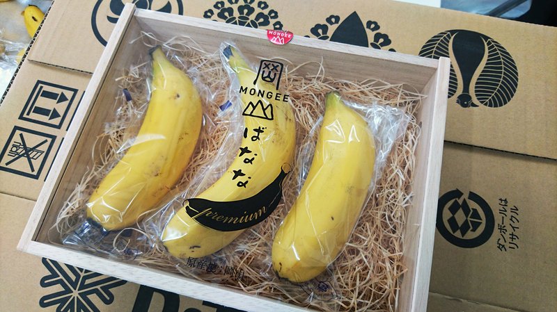 Biotechnology 2018 Trends That Are A Complete Knockout 5 Mongee-Banana-Biotech-Trends-2018