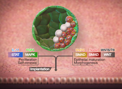 Biotechnology 2018 Trends That Are A Complete Knockout 2 Nature-Biotech-Innovations-2018