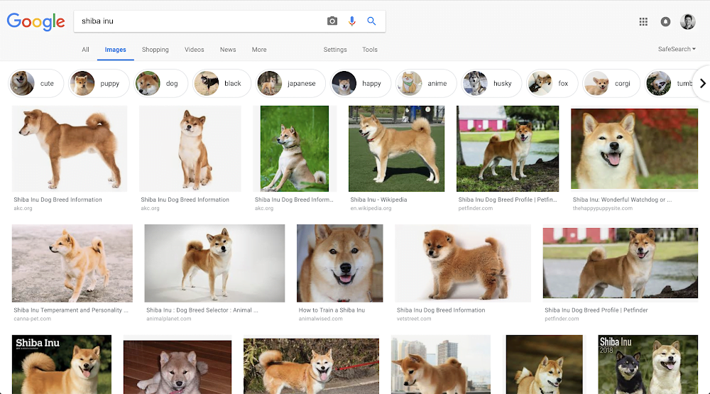 Google Lens Is Now Better Than Ever, Detects A Billion Items 2 Google Search Results Showing Shiba Dogs