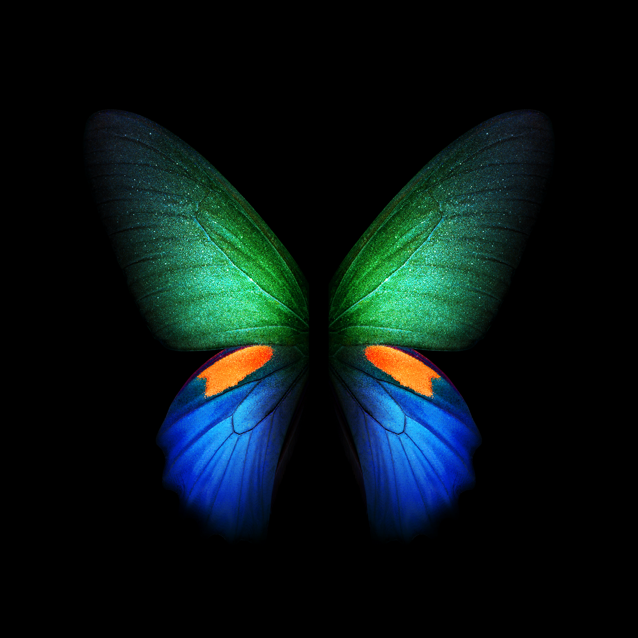 Samsung Galaxy Fold Live And Static Wallpapers Available For Download 1 Galaxy Fold Butterfly Wallpaper