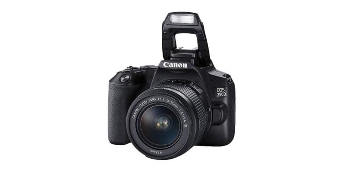 My Two Favourite Canon Camera'S For Beginners 2 Canon Eos 250D