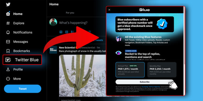 Twitter Blue: How To Sign Up, Pricing, Features 2 Twitter Blue On Web