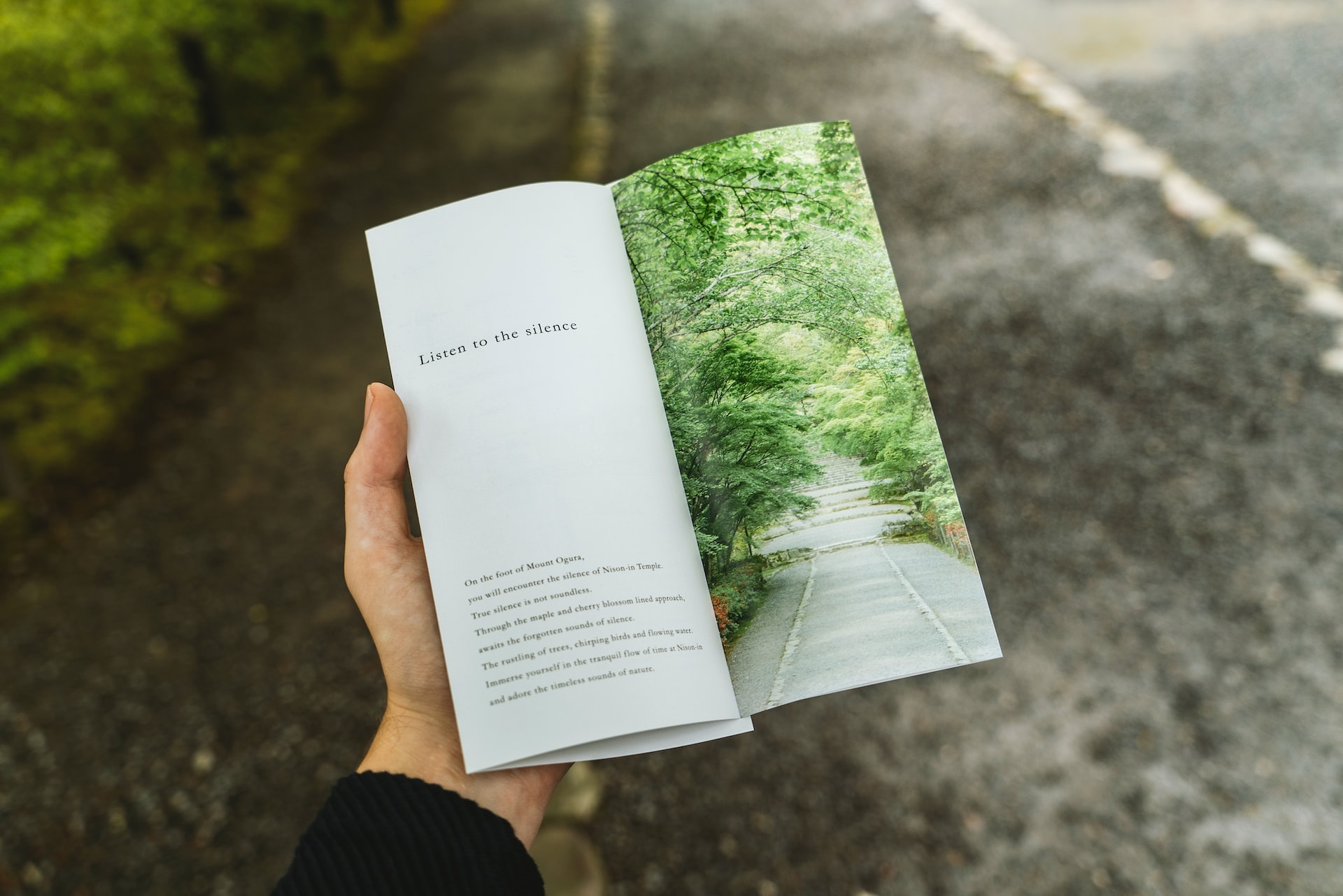 A picture of flyer in the hands of a person